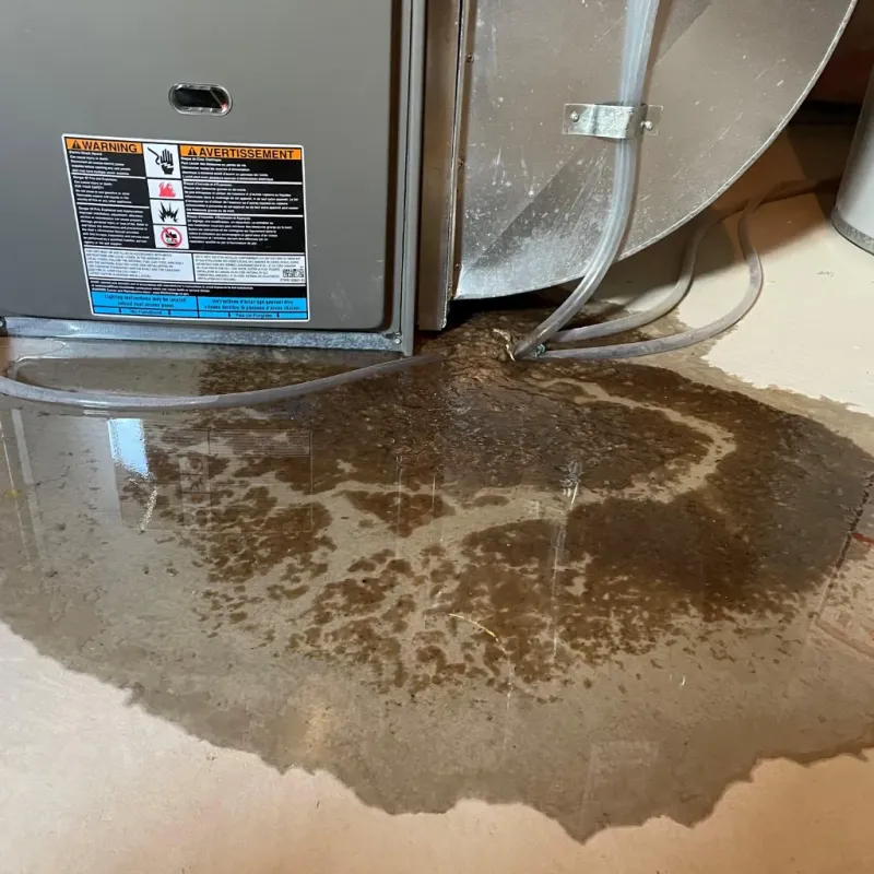 Appliance Leak Cleanup in Windham County, VT